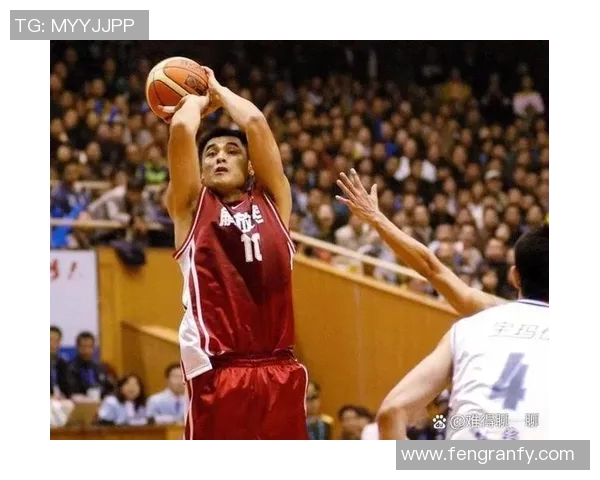 湿地公园姚明的生态保护之路与篮球精神的完美结合